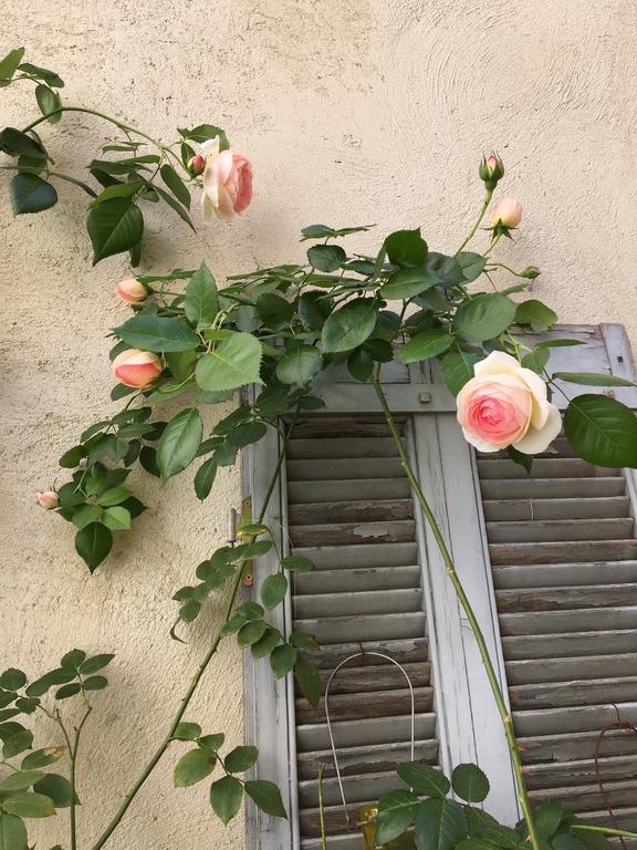 Appartement L'amelier Avignon Exterior foto